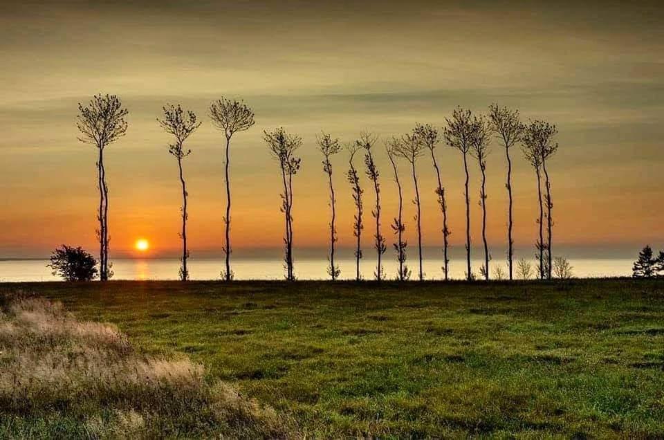 Domek Morski Swarzewo Exterior photo